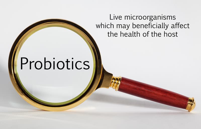 Probiotics - The Elixir Of Life