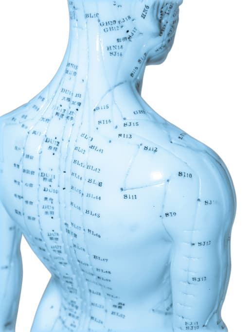 Acupuncture Meridians