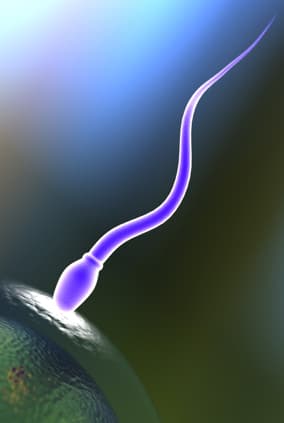 Causes Of Infertility