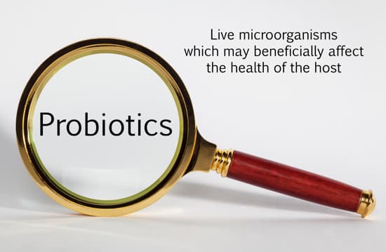 Gut Reaction To Probiotics