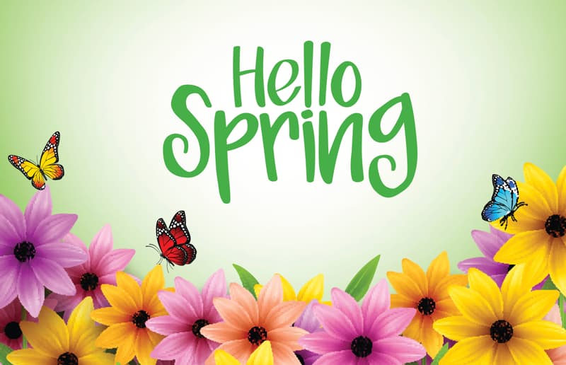 Spring Health Newsletter 2019