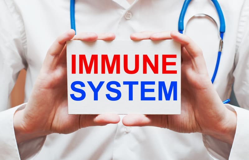 Taking Care Of Our Immune System